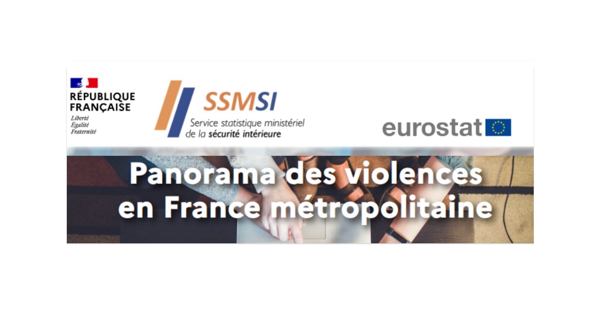 Panorama Des Violences En France Métropolitaine : Enquête Genese 2021 ...